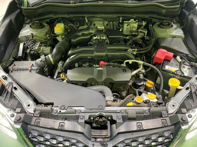 24260356_carP_l_18.jpg