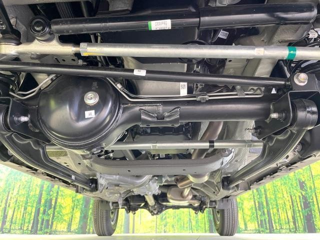 25793044_carP_l_9.jpg