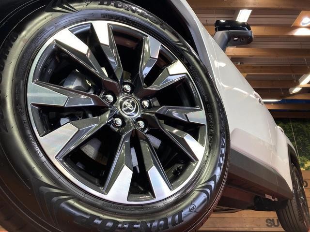 25982804_carP_l_7.jpg