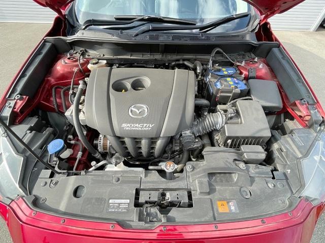 25446072_carP_l_11.jpg