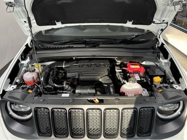 25263636_carP_l_19.jpg