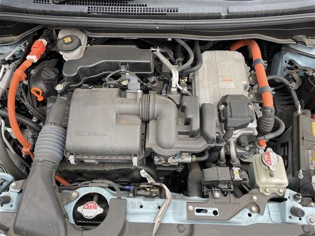 24320610_carP_l_16.jpg