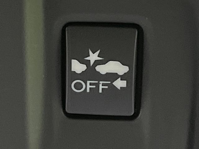 25694394_carP_l_13.jpg