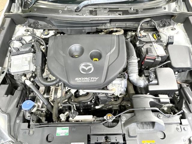 26189855_carP_l_16.jpg