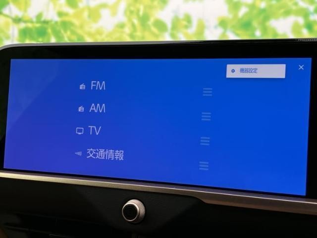 25056977_carP_l_5.jpg
