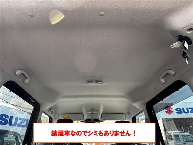 23401845_carP_l_6.jpg
