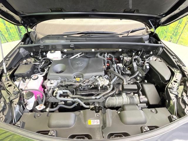 25075945_carP_l_9.jpg