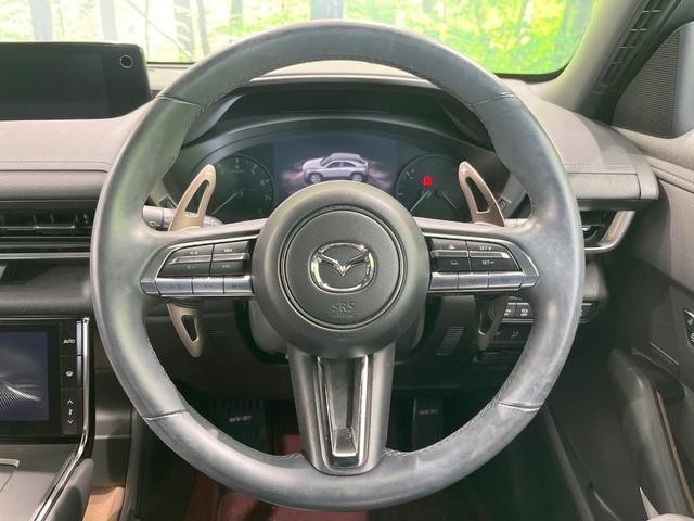 26314623_carP_l_5.jpg