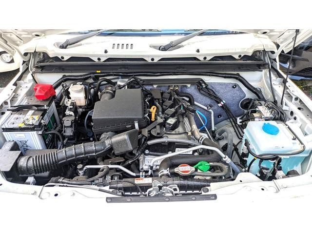 25729023_carP_l_18.jpg