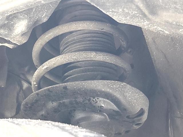 25612357_carP_l_20.jpg