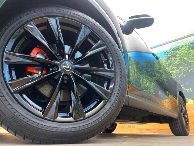 26838421_carP_l_7.jpg