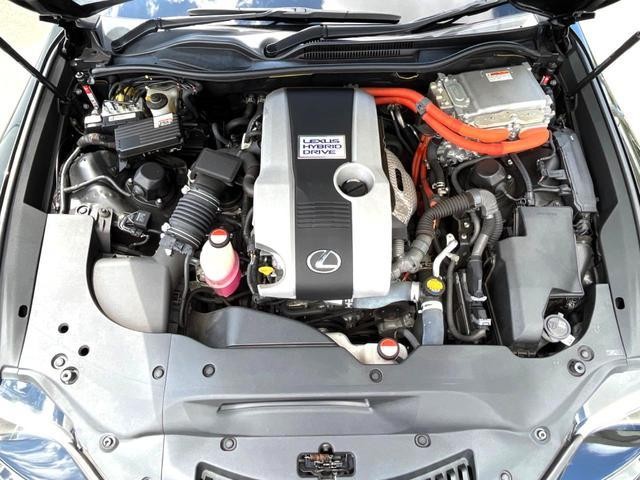 26272955_carP_l_18.jpg