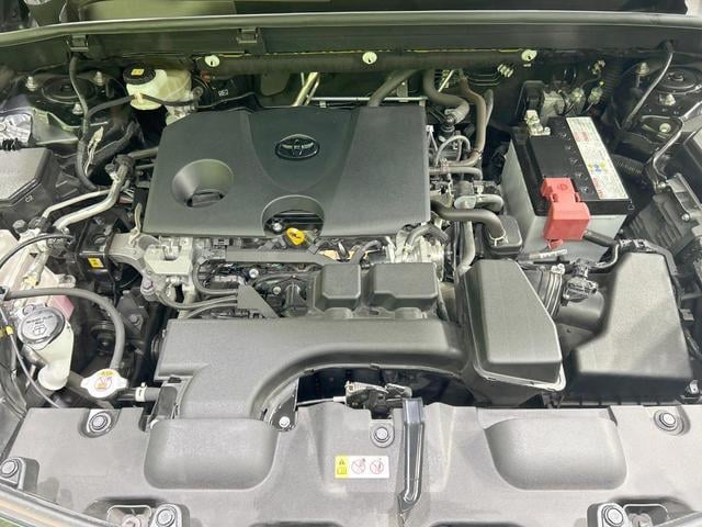 18550645_carP_l_16.jpg