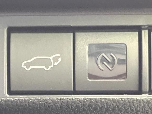 24685823_carP_l_13.jpg