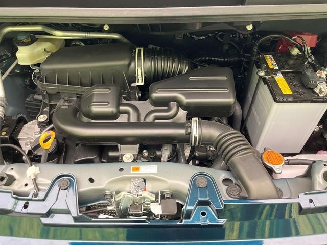 25828931_carP_l_16.jpg