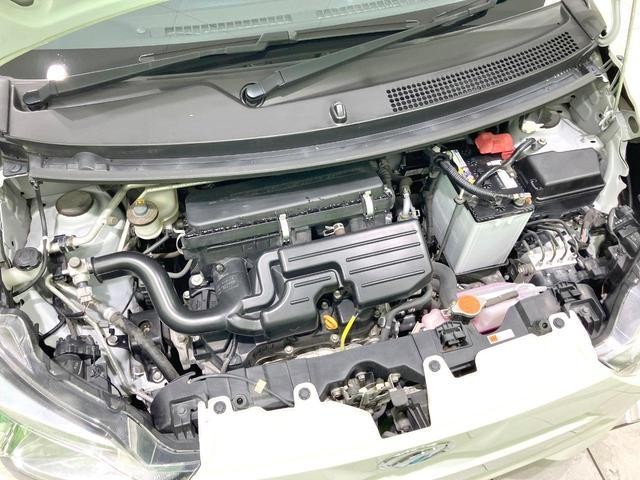 26105966_carP_l_16.jpg