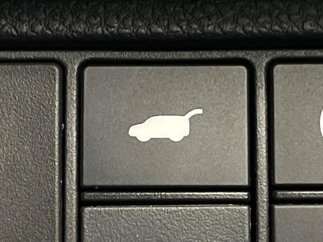 25829597_carP_l_10.jpg