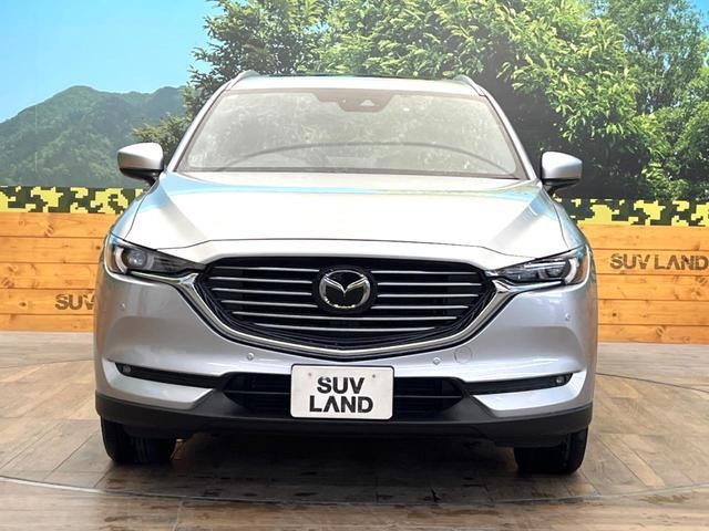 26293054_carP_l_9.jpg