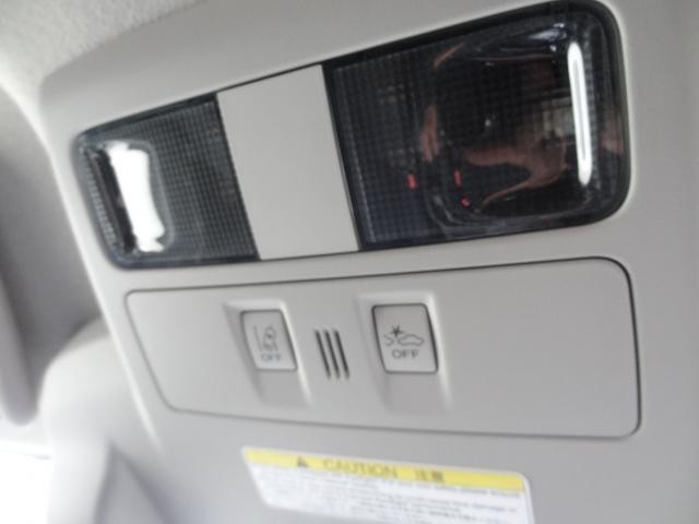25220905_carP_l_19.jpg