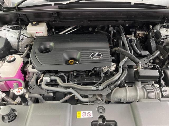 26063636_carP_l_18.jpg
