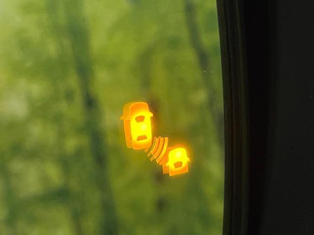 24199357_carP_l_14.jpg