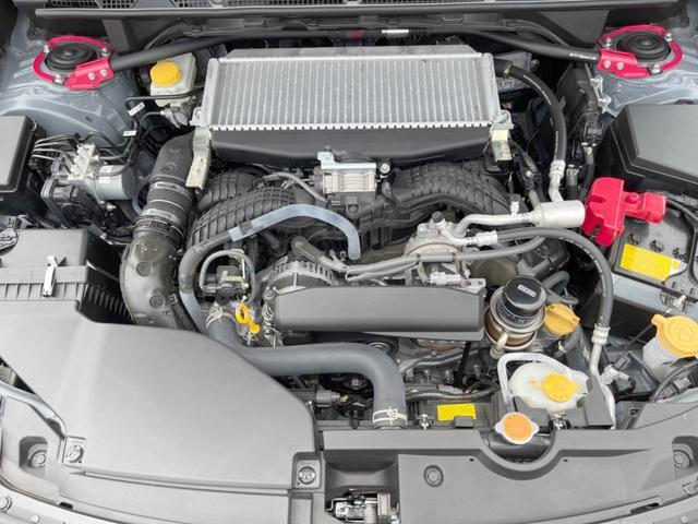 23555359_carP_l_20.jpg