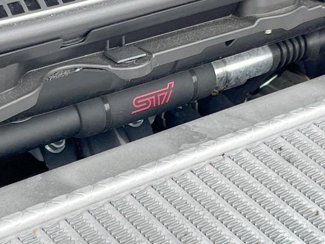 23555359_carP_l_4.jpg