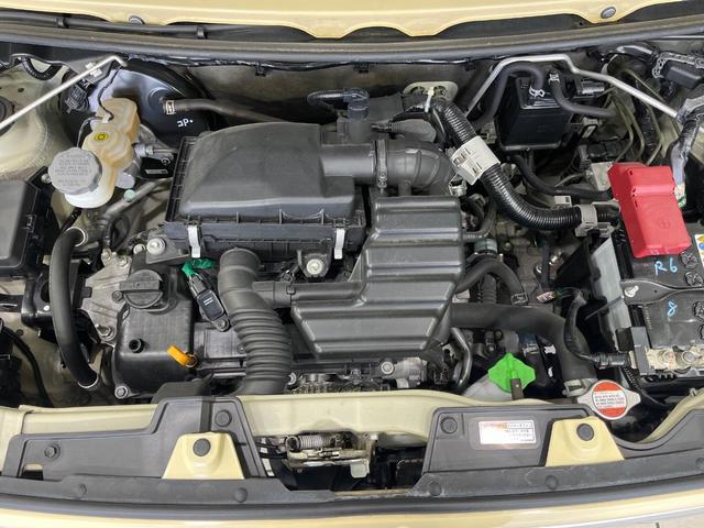 24133614_carP_l_18.jpg
