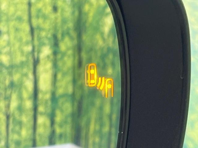 26063649_carP_l_13.jpg