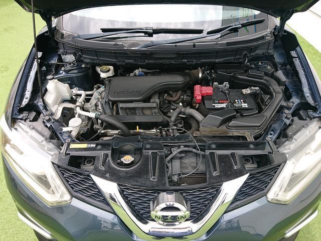 25800854_carP_l_19.jpg