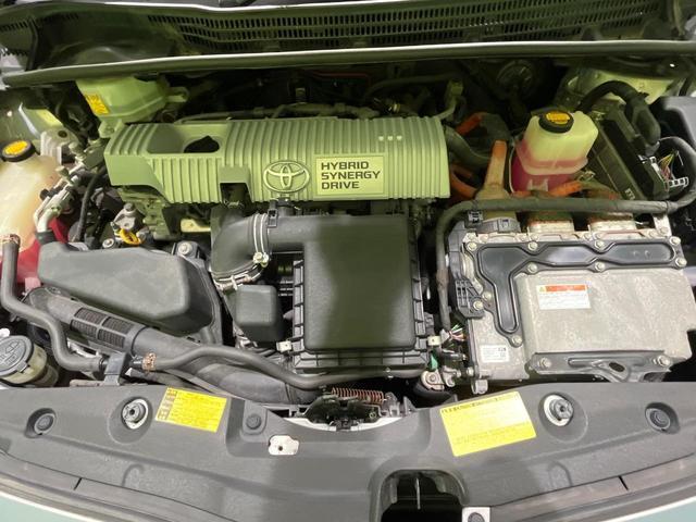 24280010_carP_l_18.jpg