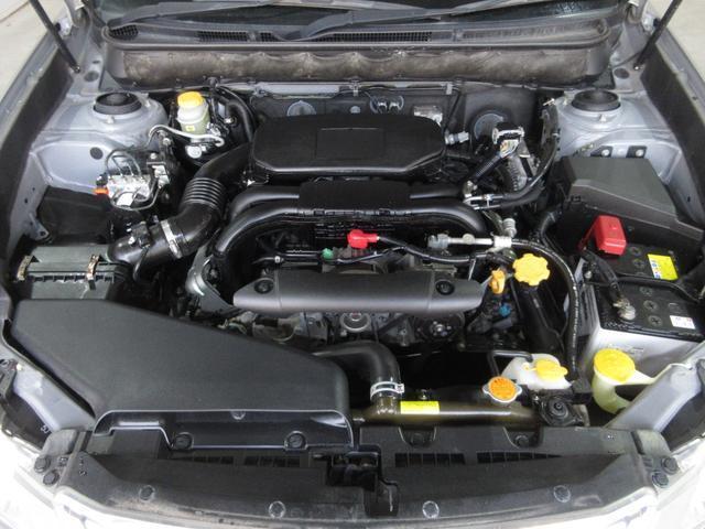 23492382_carP_l_20.jpg