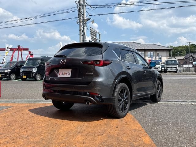 25278276_carP_l_2.jpg