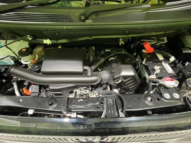 24280013_carP_l_18.jpg