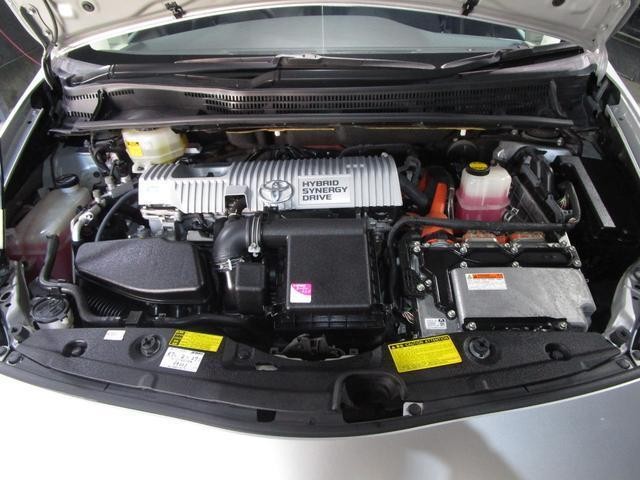 26940838_carP_l_20.jpg