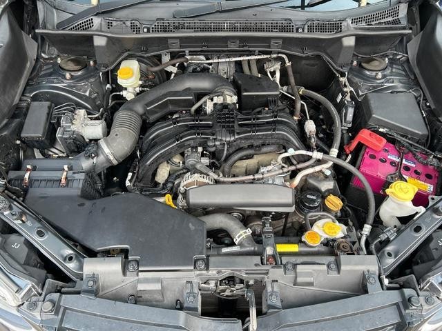 25811327_carP_l_16.jpg