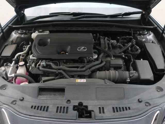 25369537_carP_l_17.jpg