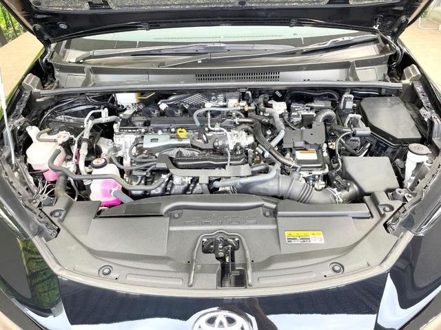 26794646_carP_l_16.jpg