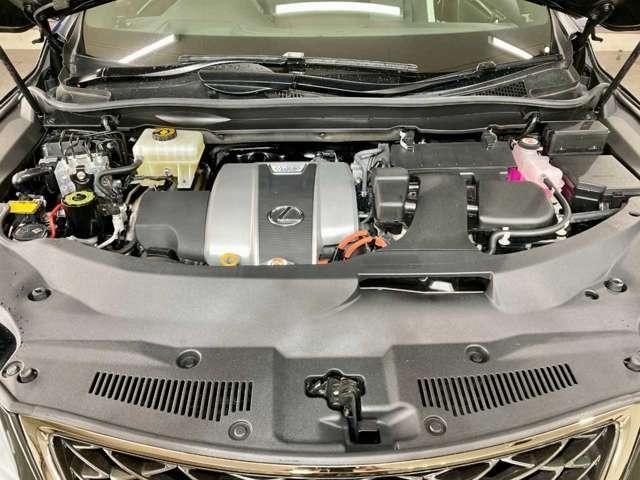 25085570_carP_l_13.jpg