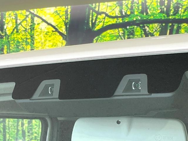 25983258_carP_l_15.jpg