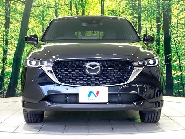 25076127_carP_l_8.jpg