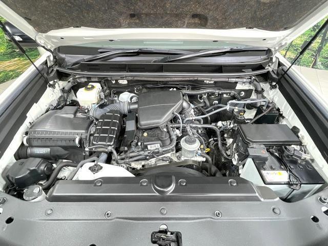 26043902_carP_l_16.jpg