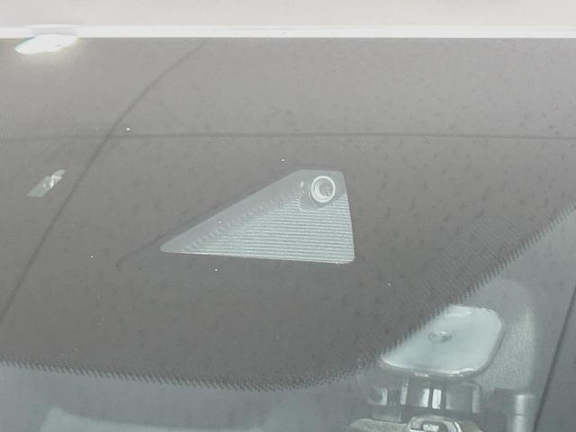 24828932_carP_l_15.jpg