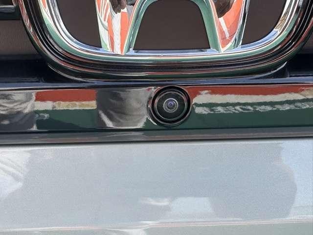 26431454_carP_l_8.jpg