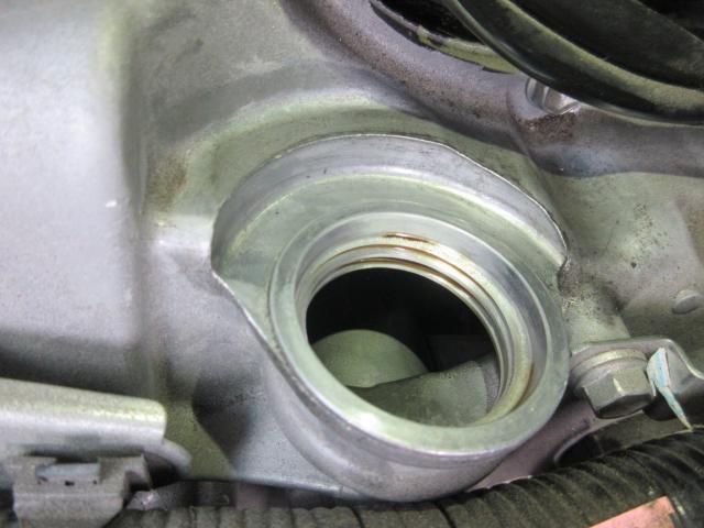 24989784_carP_l_17.jpg