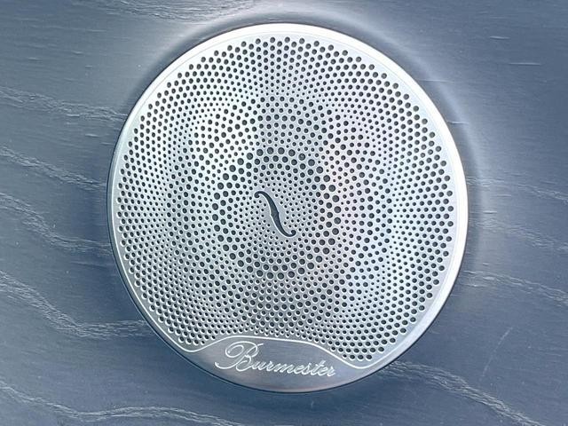 25383953_carP_l_10.jpg