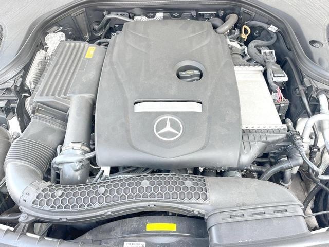 25383953_carP_l_18.jpg
