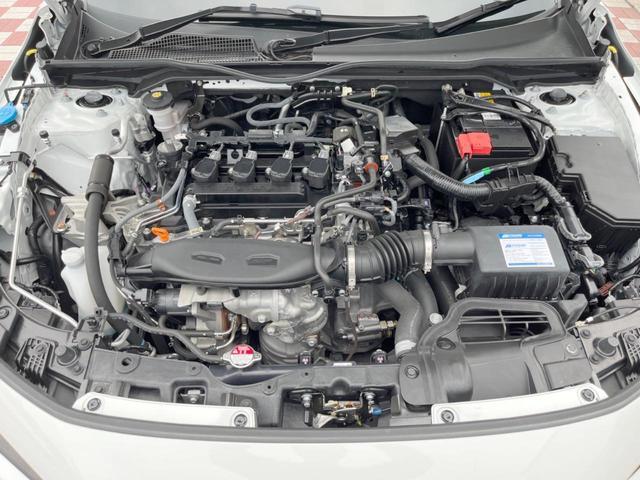24238917_carP_l_16.jpg