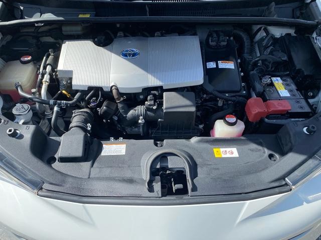 0520328A30261019W00215.jpg