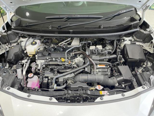 24239458_carP_l_16.jpg